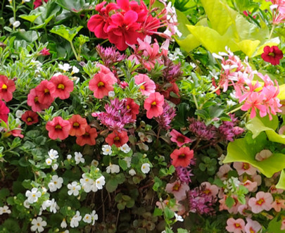 iStock-146809426_edited.jpg