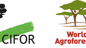 Partnership with ICRAF – Strengthening Native Tree Restoration Systems