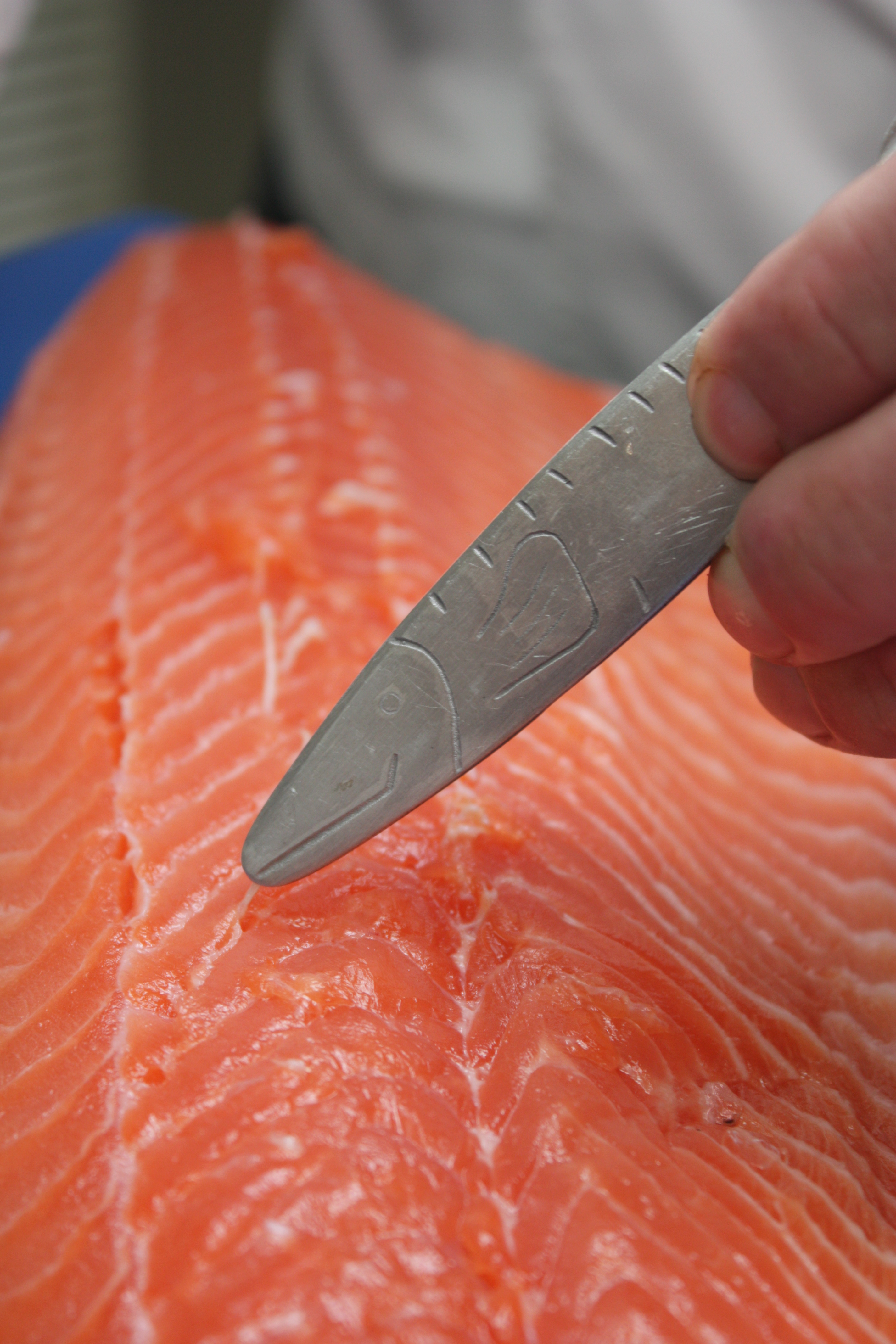 Wildlachs