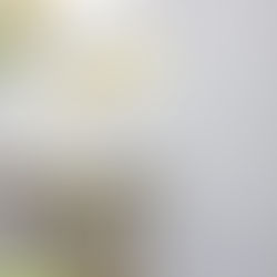 Sounding of The Final Horn: Jacksonville College's Basketball Town Hall