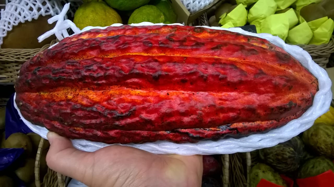 Myrciaria floribunda / Cambuí vermelho ou rumberry