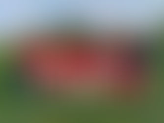 Situs Livescore Bola Populer: Goaloo