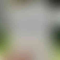 יציאת לאור text on a white paper. Hand holding the paper outdoors.