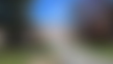 What I Should Have Done This Summer