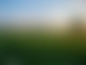 One Wild and Precious Life