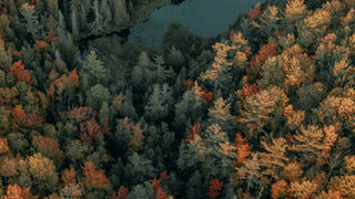 Fun Fall and Winter Weekend Trip Ideas for Every Kind of HBS Voyager