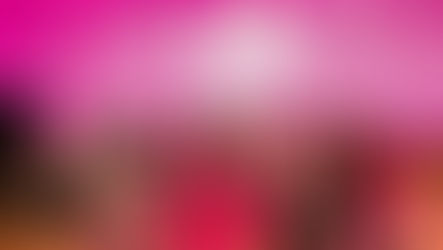 It’s a Harbie World