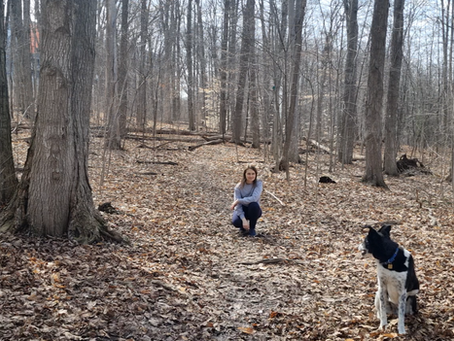 A woman and her dog share a quiet moment in a forest. The dog sits facing partly away, while the woman kneels calmly at a distance, connected through trust in a natural setting.
