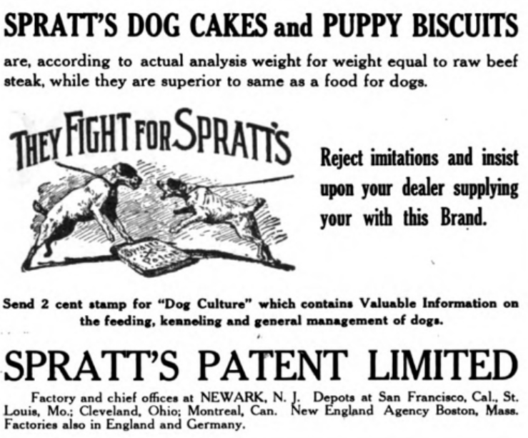 Vintage 1914 advertisement for Spratt’s Dog Cakes and Puppy Biscuits, claiming superiority over raw beef and promoting the brand with an illustration of dogs fighting over food.