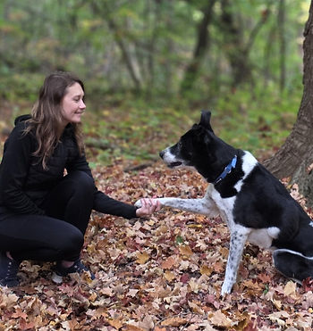 Dog trainer with a dog holding paws