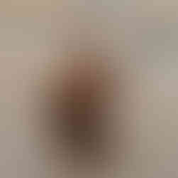 Brown puppy straining on leash with ears pinned back, indicating tension, excitement, or leash frustration on pavement.