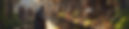 merchants.jpg