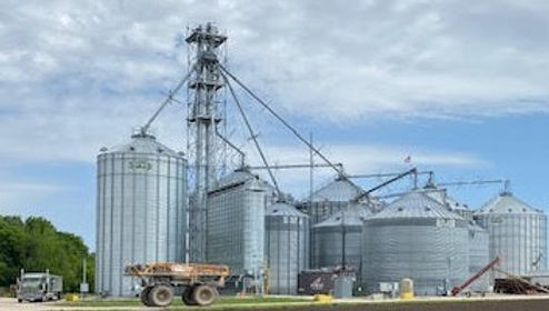 May2020plant2 (2).jpg