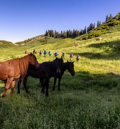 LINE_ALBUM_2024 05 15_241109_2.jpg
