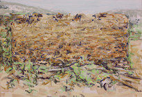 55 x 80 cm