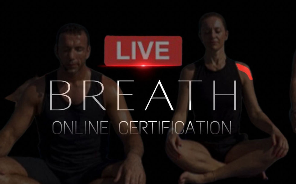 ONLINE - Live -  inZENtive BREATH COACH - basic education in biodynamic breathing and trauma work