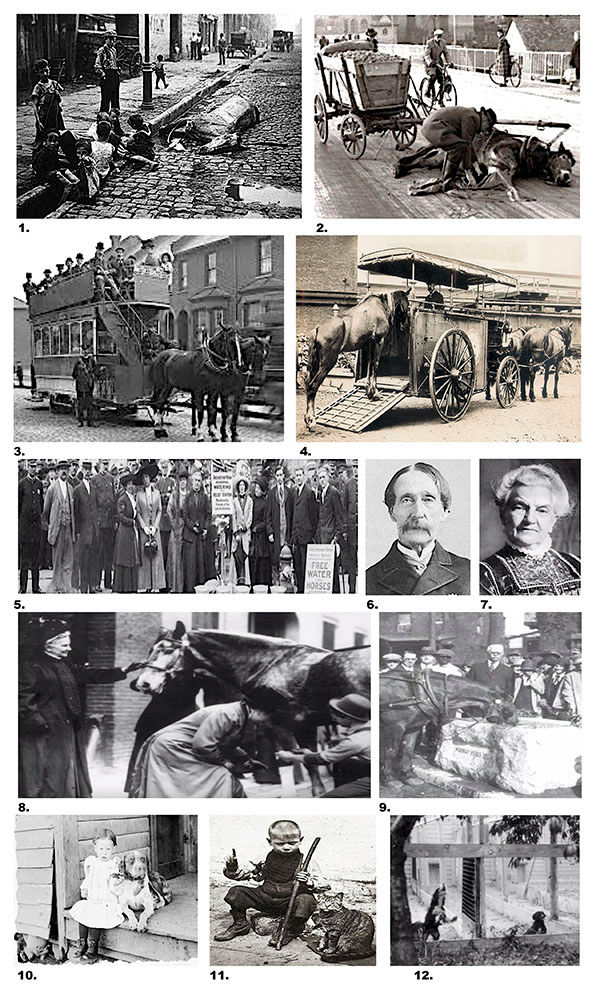 America's First Animal Shelter