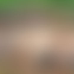 The Dark Secrets of Jamestown