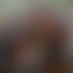 For the Love of Horses (& Mules!)