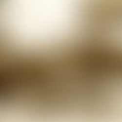 The Stunt King of Hollywood