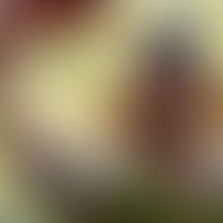 The Legend of Johnny Appleseed