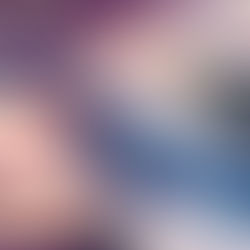 Immigrating to the United States through a Spousal Visa/Fiance' Visa