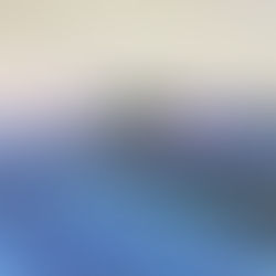 Memories in Motion Series continued...