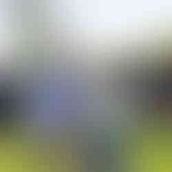 Chain of Rocks Park Grand Opening