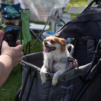 Chain of Rocks Park Grand Opening