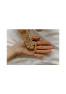 Design sans titre (11).png