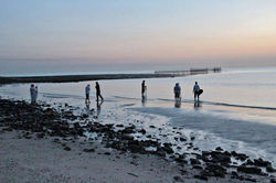 1377616_255966677884072_2103515664_n