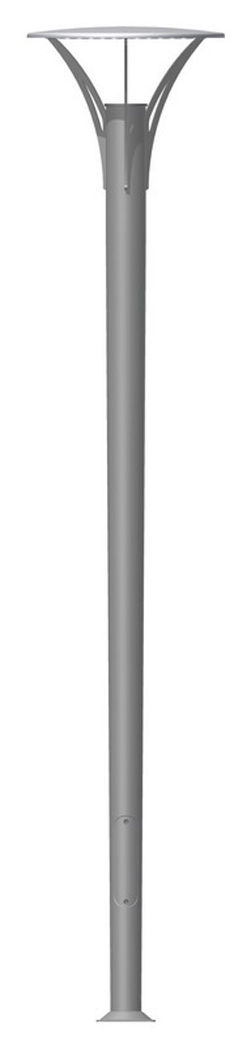 ree