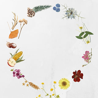 Veru - carousel (5) ve velké velikosti.jpeg