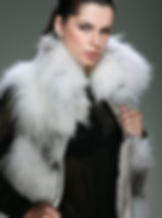 shutterstock_150563501.jpg