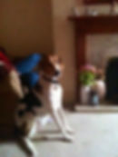 Molly