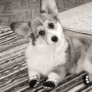 20220422_104301_edited.jpg