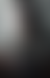 The Girl (Guardians #1)