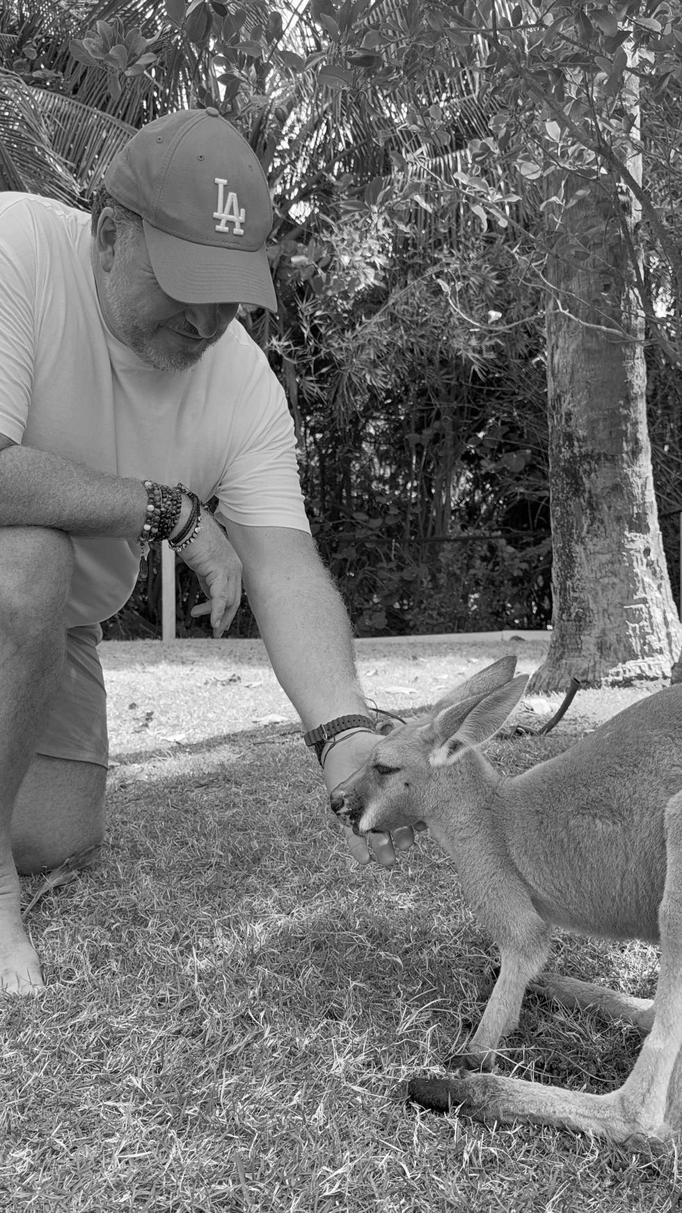 Dickie Shearer Tintra Kangaroo