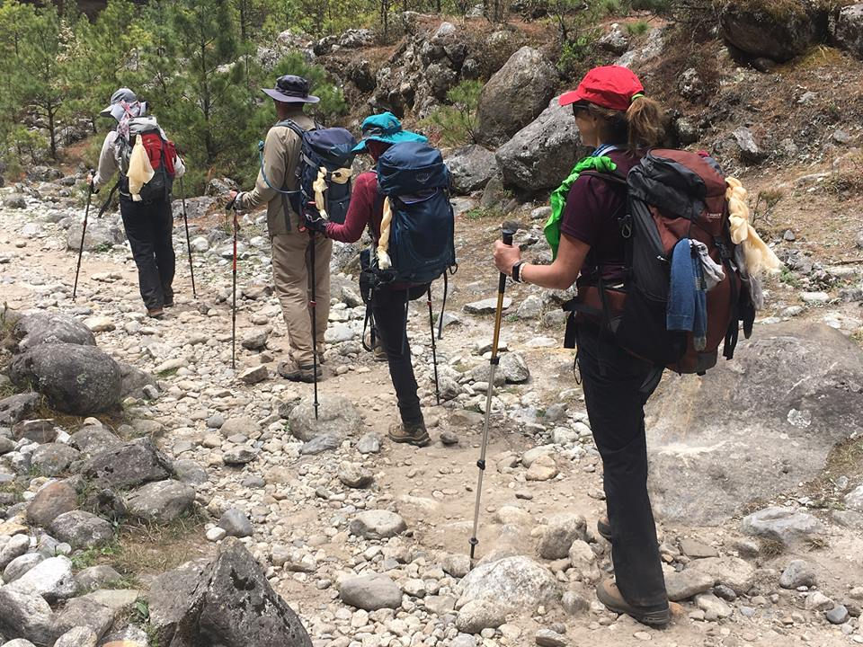 Summit Steps: Trekking Poles?