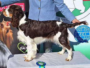 Vespa_20Oct2024_álló_2_B_edited_edited.j