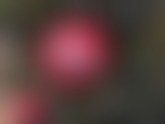 Christmas bespoke baubles for Twycross Zoo