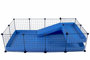 cavy cage.webp