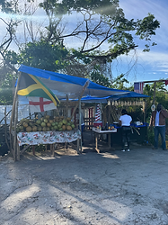 Falmouth Jamaica Excursions