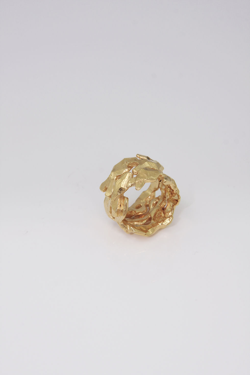 Thumbnail: shoal fish ring