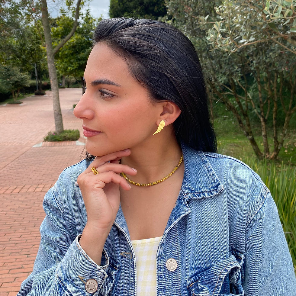 Miniatura: Aretes Mini Alas