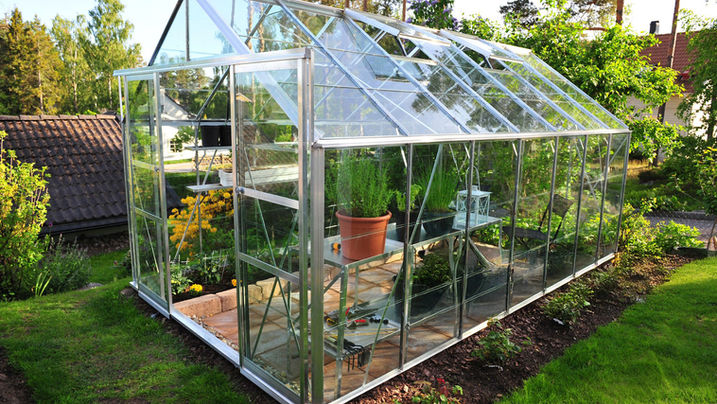 Sunlit Greenhouse with Tools and Plants