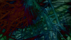 img_03_insearchofmountanalogue.jpeg-leo-pirondi_800x450.jpeg