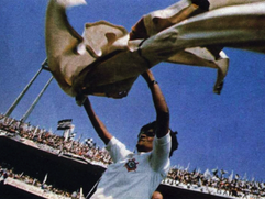 vai_image_03-bruno-barrenhapng