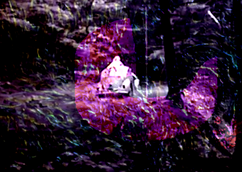 invasao_image_03-invaso-3-hannah-m
