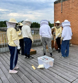 Bienenprojekt 2026
